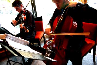 The Dolanc String Quartet's Main Photo