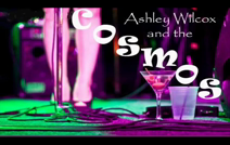 Ashley Wilcox and The Cosmos | Indianapolis, IN | Dance Band | Ashley Wilcox and The Cosmos Promo