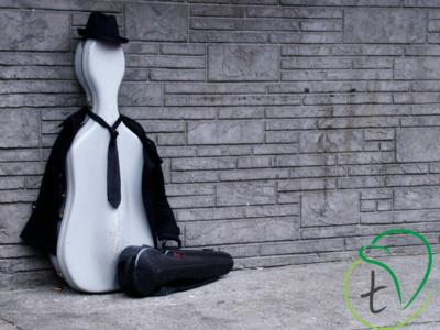 Driftwood Duet and Strings | Boston, MA | Classical Duo | Photo #9