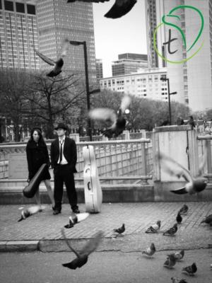 Driftwood Duet and Strings | Boston, MA | Classical Duo | Photo #8