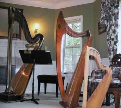 Susan W. Haas, Harpist | Lake Tapps, WA | Harp | Photo #10