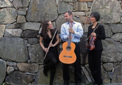 Con Brio Trio and Duo | Boston, MA | Classical Trio | Photo #14