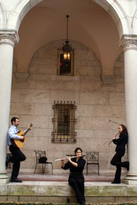 Con Brio Trio and Duo | Boston, MA | Classical Trio | Photo #5