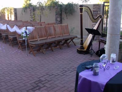 Elizabeth Webb | Tucson, AZ | Harp | Photo #5