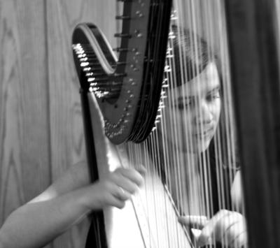Elizabeth Webb | Tucson, AZ | Harp | Photo #8