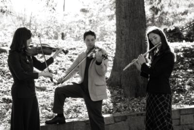 diSogno String Quartet & Ensemble | Greenville, SC | String Quartet | Photo #2