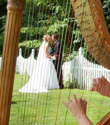 Meg Rodgers, Harpist | Saint Joseph, MI | Harp | Photo #3