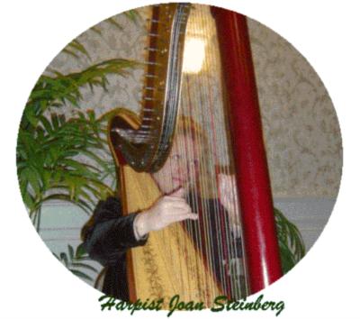 Joan Steinberg Harpist's Main Photo