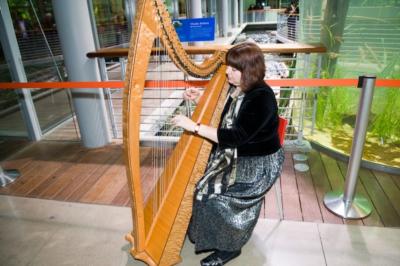 Shawna Spiteri | San Bruno, CA | Harp | Photo #4
