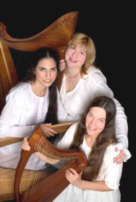 Shawna Spiteri | San Bruno, CA | Harp | Photo #6