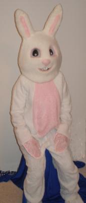 Petunia the Clown | Herndon, VA | Clown | Photo #3