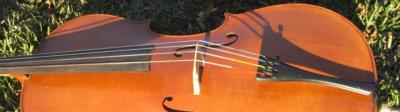 Coastal Chamber Musicians | Charleston, SC | Classical Trio | Photo #8
