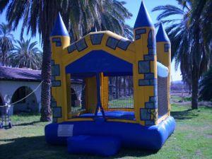 A Child's Joy ~ Quality Children's Entertainment's Main Photo