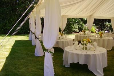 Grimes Events & Party Tents | Delray Beach, FL | Wedding Tent Rentals | Photo #10