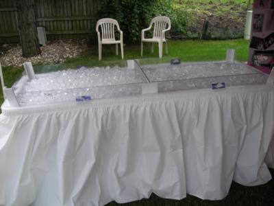 Intents Events/Tremper Party Rentals | Warren, MI | Wedding Tent Rentals | Photo #17