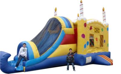 WA BoUnCe HoUsE | Kent, WA | Party Inflatables | Photo #5