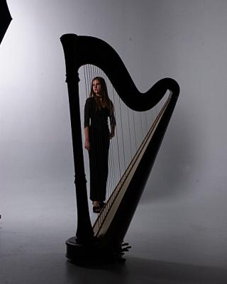Lisa Marie Kahn | Chicago, IL | Classical Harp | Photo #11