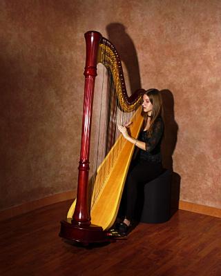 Lisa Marie Kahn | Chicago, IL | Classical Harp | Photo #12