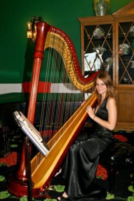 Lisa Marie Kahn | Chicago, IL | Classical Harp | Photo #7