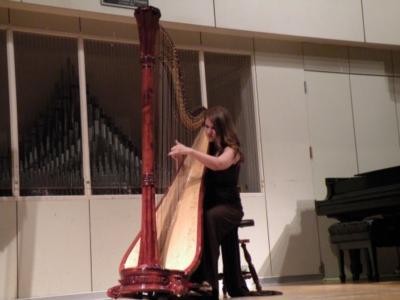 Lisa Marie Kahn | Chicago, IL | Classical Harp | Photo #4