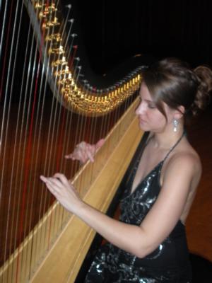 Lisa Marie Kahn | Chicago, IL | Classical Harp | Photo #2