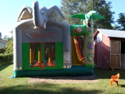 Inflate A Fun | Toccoa, GA | Party Inflatables | Photo #3