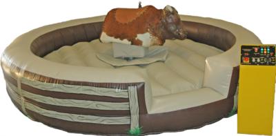 Jump-N-Fun For Kids | Knightdale, NC | Party Inflatables | Photo #14