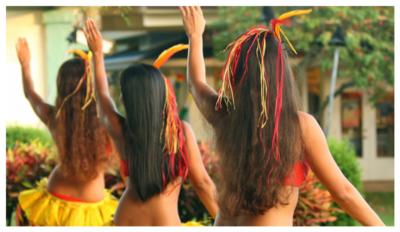 Hana Hou Hula Productions | Naperville, IL | Hula Dancer | Photo #3