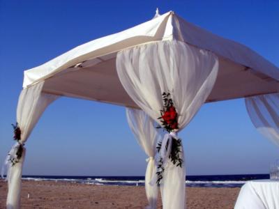 Tent Toppers | Mc Gaheysville, VA | Wedding Tent Rentals | Photo #2