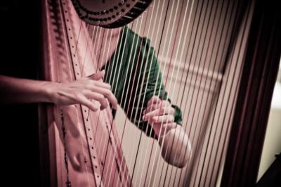 Molly C. Nichols | Orono, ME | Harp | Photo #3