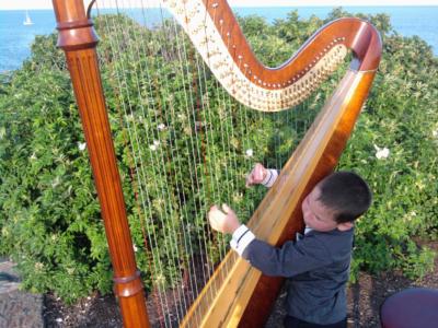 Molly C. Nichols | Orono, ME | Harp | Photo #8