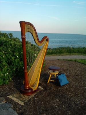 Molly C. Nichols | Orono, ME | Harp | Photo #6