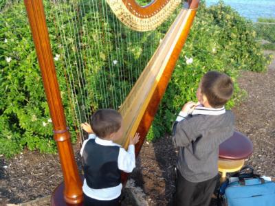 Molly C. Nichols | Orono, ME | Harp | Photo #9