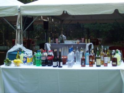Alcohol Heroes Bartenders and Wait staff | Stone Mountain, GA | Bartender | Photo #3
