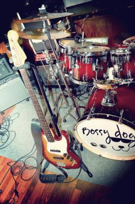 Bossydog | Bartlett, IL | Dance Band | Photo #7
