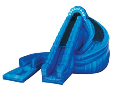 South Florida Bounce & Slide | Boca Raton, FL | Party Inflatables | Photo #4