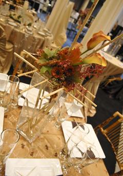 Midway Party Rental, Inc. | Saint Paul, MN | Wedding Tent Rentals | Photo #5