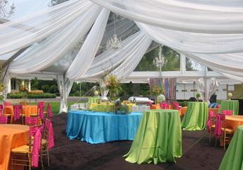 Midway Party Rental, Inc. | Saint Paul, MN | Wedding Tent Rentals | Photo #2
