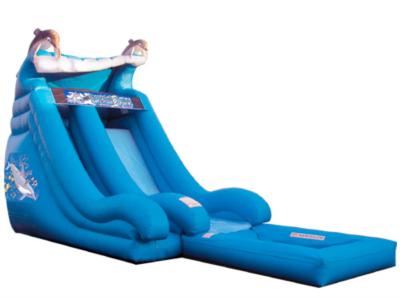 Bounce Around Inflatables | Wake Forest, NC | Party Inflatables | Photo #11