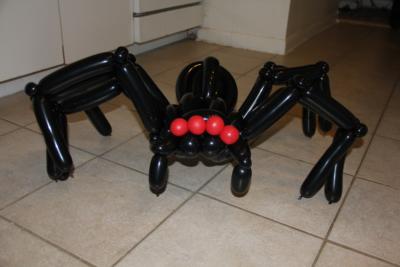 Nathan Brown | Chicago, IL | Balloon Twister | Photo #11