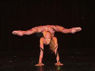 Dreamark Entertainment | Fort Lauderdale, FL | Acrobat | Photo #20