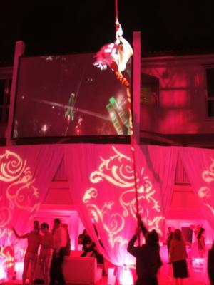 Dreamark Entertainment | Fort Lauderdale, FL | Acrobat | Photo #17