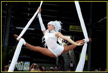 Dreamark Entertainment | Fort Lauderdale, FL | Acrobat | Photo #2