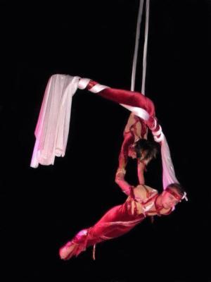 Dreamark Entertainment | Fort Lauderdale, FL | Acrobat | Photo #8