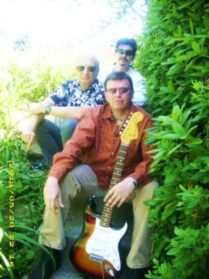 Are You Experienced? Jimi Hendrix - Robin Trower | Irwin, PA | Jimi Hendrix Tribute Act | Photo #8