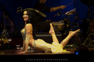 NYLA | Barrington, NJ | Belly Dancer | Photo #25