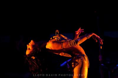NYLA | Barrington, NJ | Belly Dancer | Photo #20
