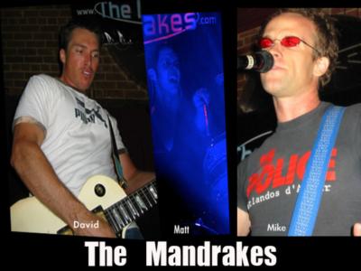 The Mandrakes's Main Photo