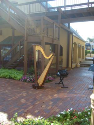 Alishia Joubert: Seattle Harpist | Kirkland, WA | Harp | Photo #8