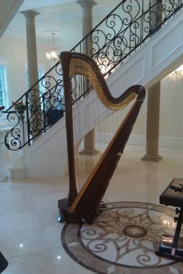 Alishia Joubert: Seattle Harpist | Kirkland, WA | Harp | Photo #9